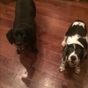 Meet your Posher, Andrea